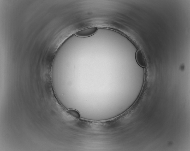 X0000116290897200912211838