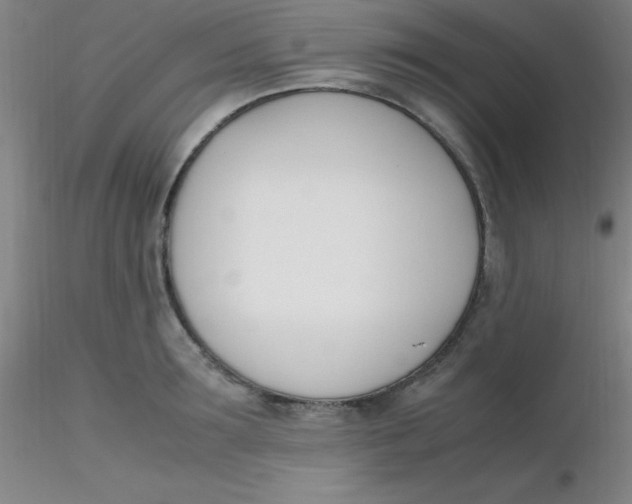 X0000116290899200912211838