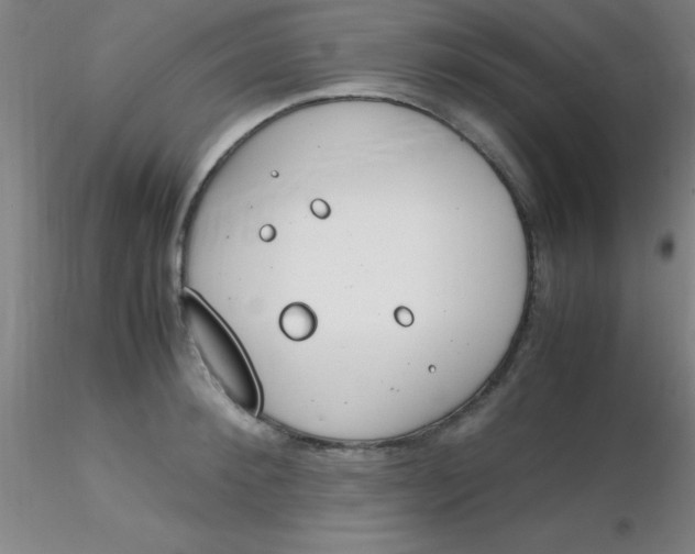 X0000116290900200912211838