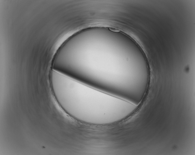 X0000116290901200912211838