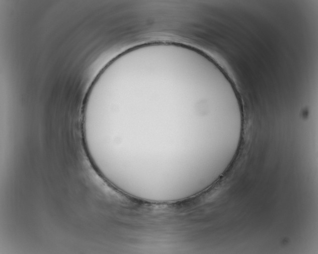 X0000116290903200912211838