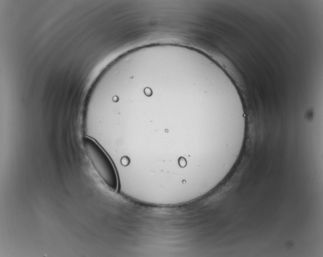 X0000116290904200912211838