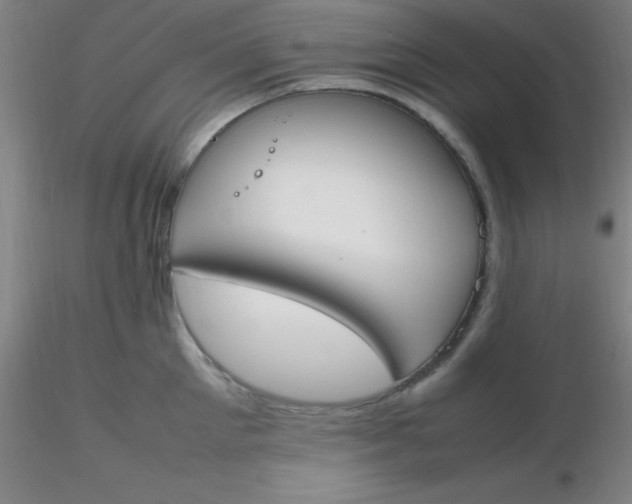 X0000116290905200912211838