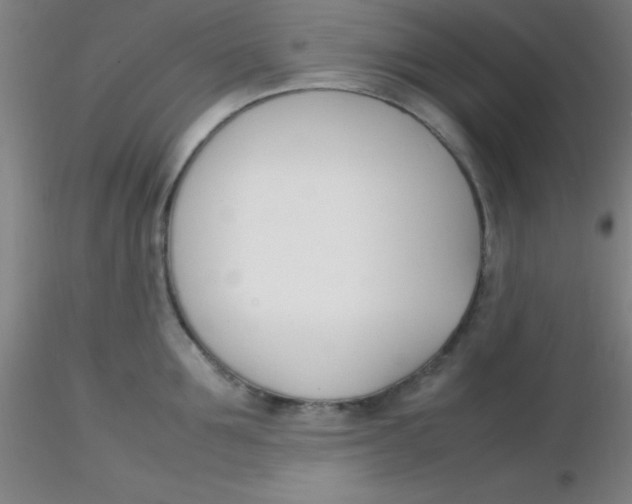 X0000116290907200912211838