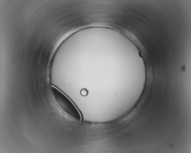 X0000116290908200912211838