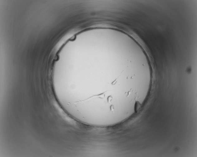 X0000116290909200912211838