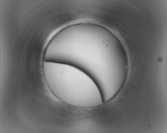 X0000116290912200912211838