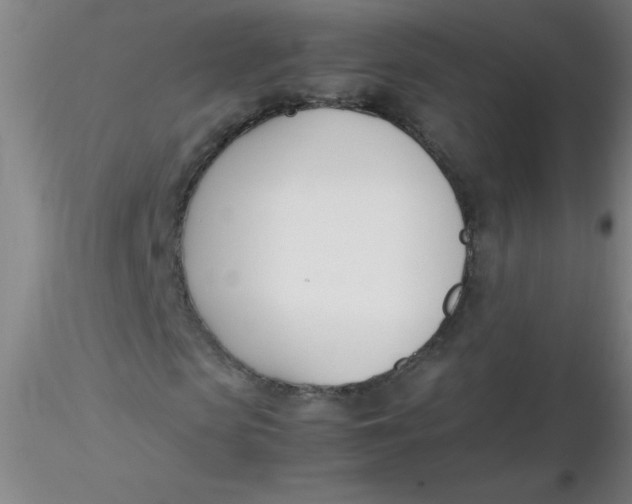 X0000116290913200912211837