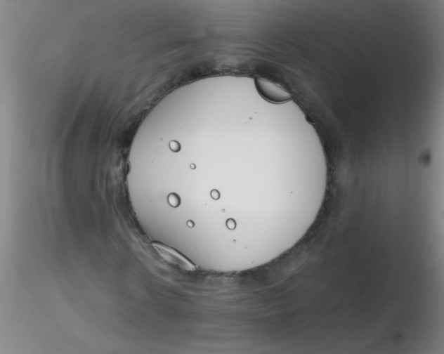 X0000116290914200912211837