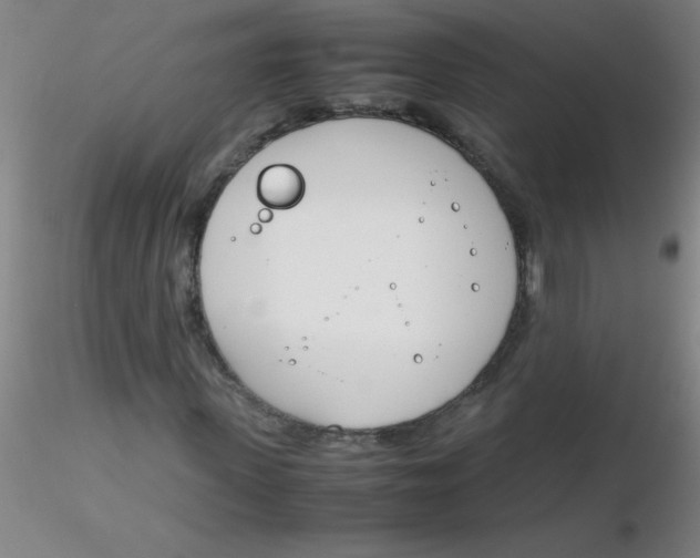 X0000116290915200912211837