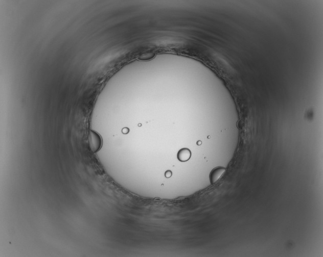 X0000116290917200912211837