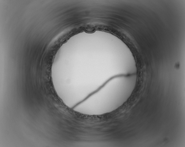 X0000116290919200912211837