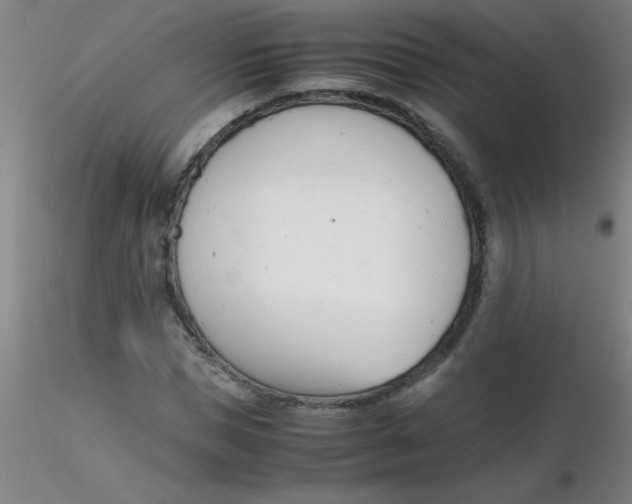 X0000116290921200912211837