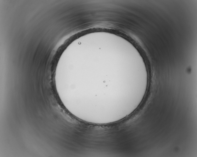 X0000116290923200912211837