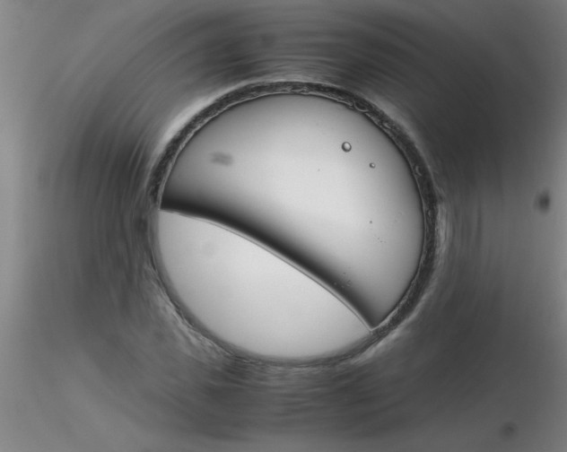 X0000116290925200912211837