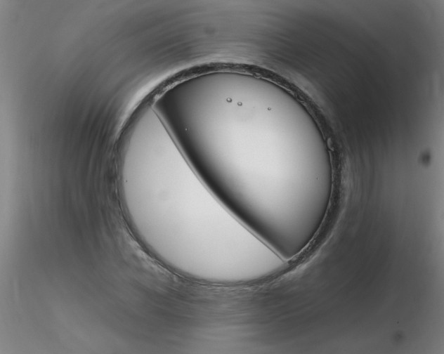 X0000116290926200912211837