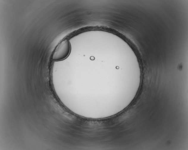 X0000116290927200912211837