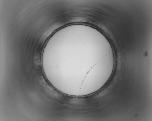 X0000116290929200912211837