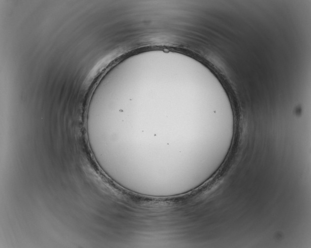 X0000116290930200912211837