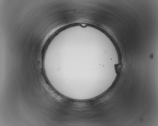 X0000116290931200912211837