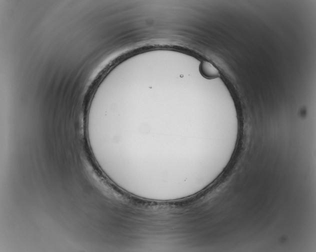 X0000116290934200912211837