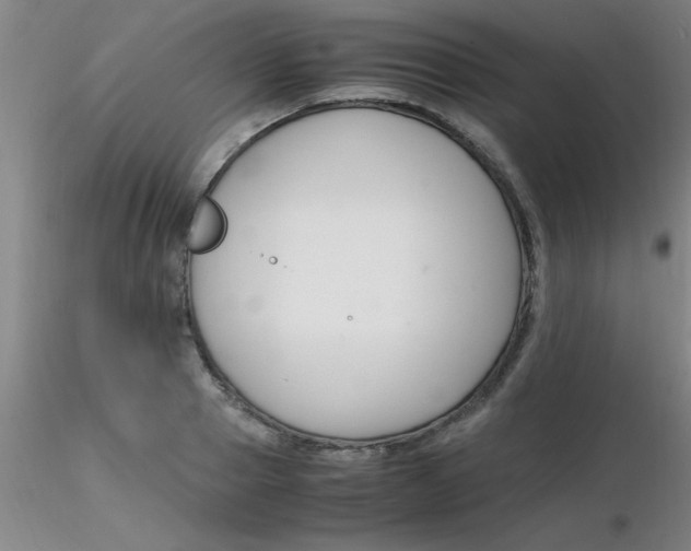 X0000116290937200912211837