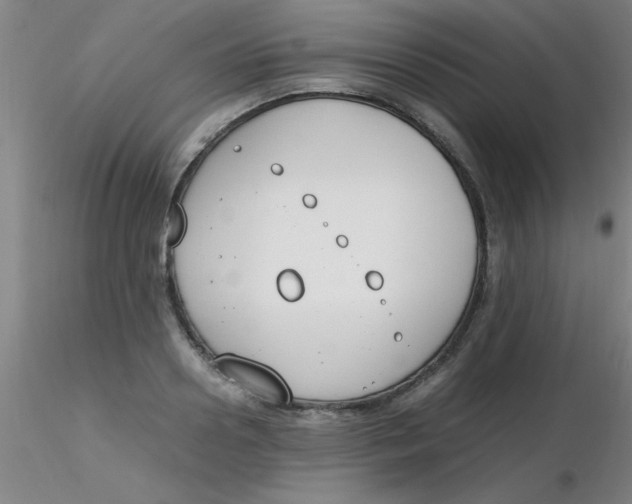 X0000116290938200912211837