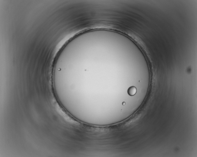 X0000116290941200912211837