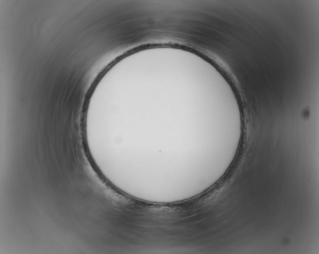 X0000116290943200912211838