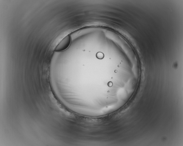 X0000116290945200912211838