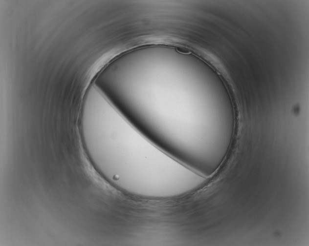 X0000116290946200912211838