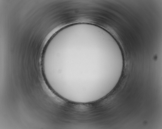 X0000116290947200912211838