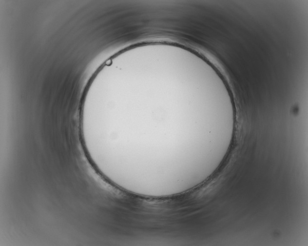 X0000116290951200912211838