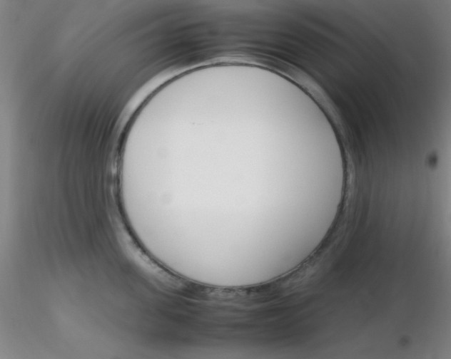 X0000116290955200912211838