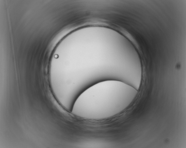 X0000116290959200912211838