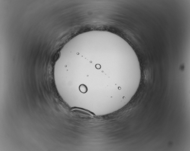 X0000116290964200912211837