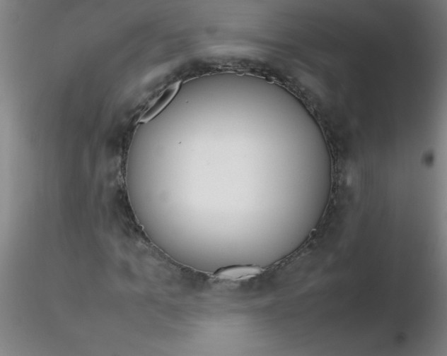 X0000116290965200912211837