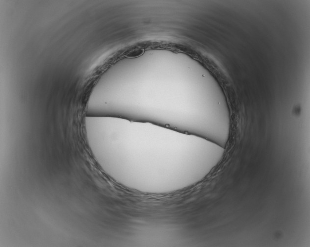 X0000116290968200912211837