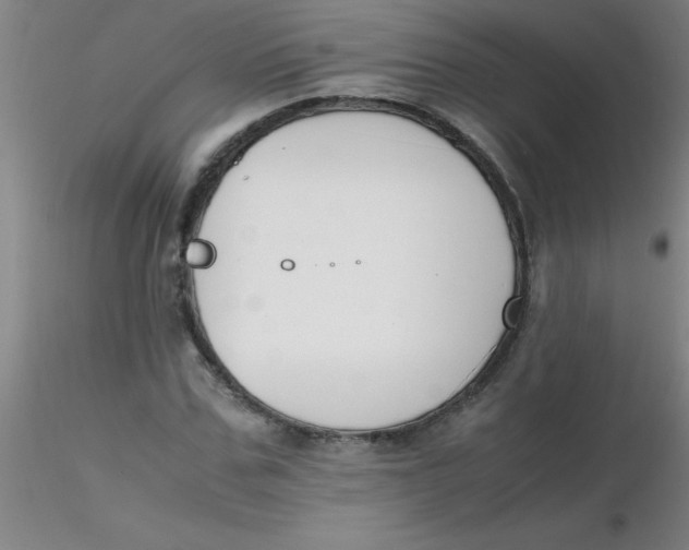 X0000116290971200912211837