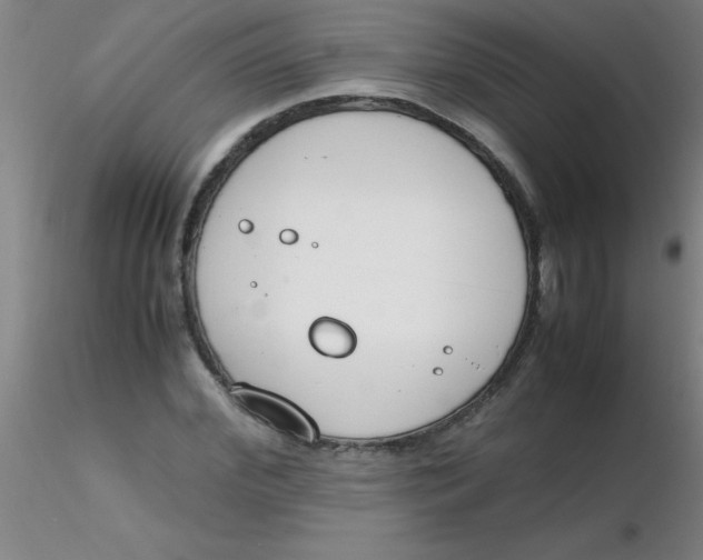 X0000116290972200912211837