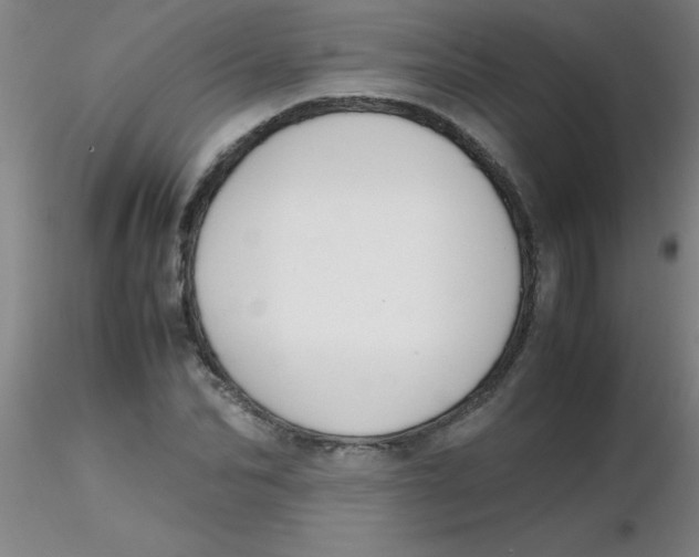 X0000116290974200912211837