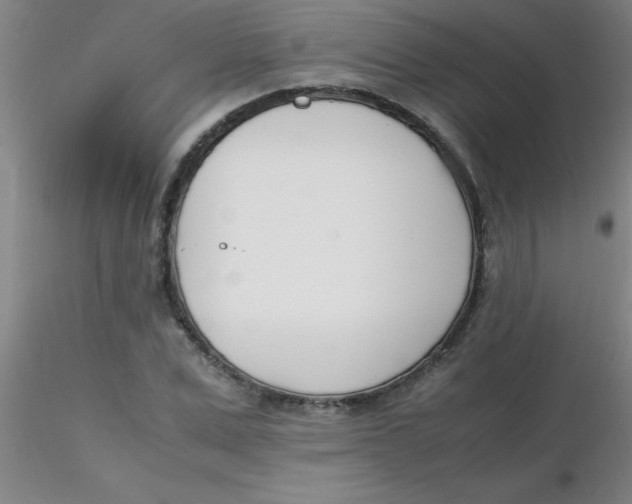 X0000116290975200912211837