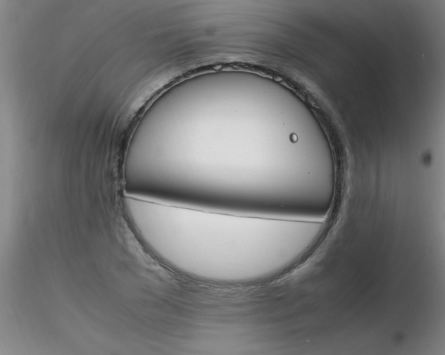 X0000116290977200912211837