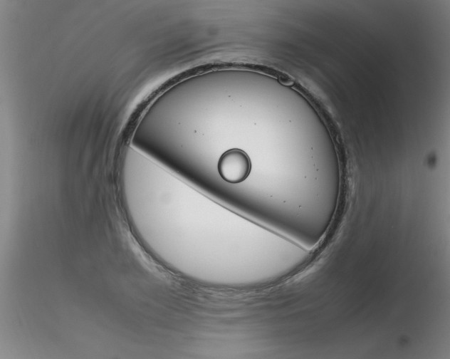 X0000116290981200912211837