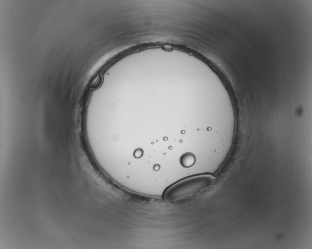 X0000116290983200912211837