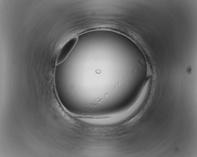 X0000116290985200912211837