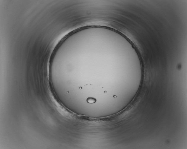 X0000116290988200912211837