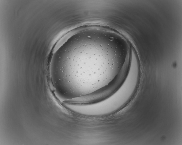 X0000116290989200912211837