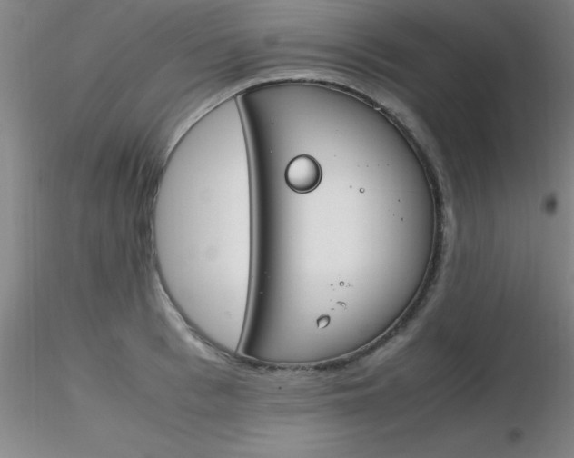 X0000116290993200912211837