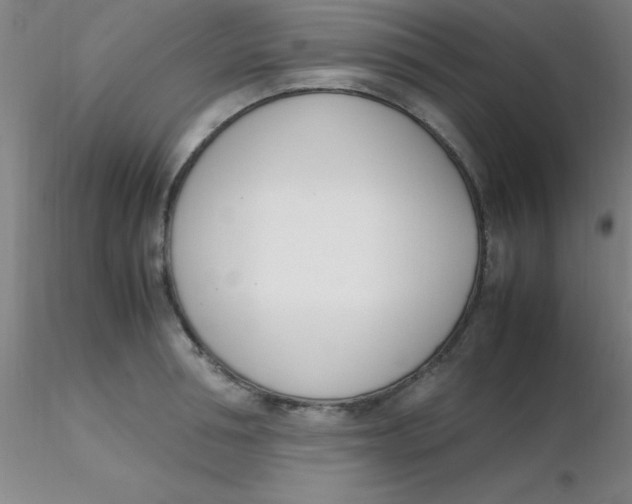 X0000116290994200912211837